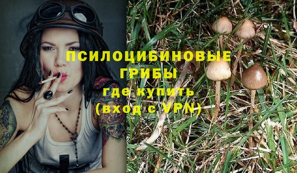 ALPHA PVP Рославль